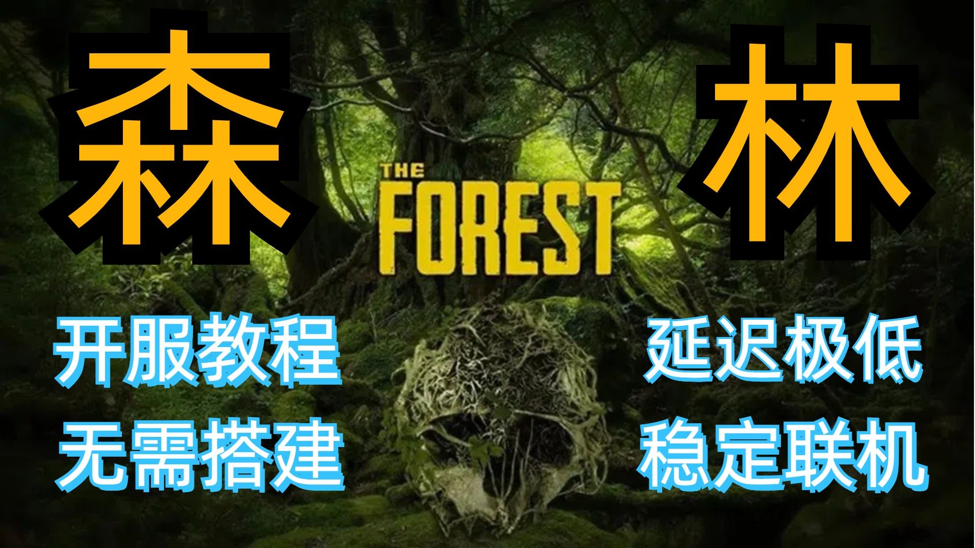 【The Forest】森林怎么联机?手把手教您一键联机开服 森林专用服务器哔哩哔哩bilibili