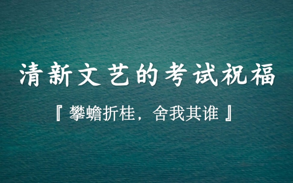 “加油”太接地气,“顺利”不够走心.攀蟾折桂,舍我其谁,值得收藏的考试祝福…哔哩哔哩bilibili