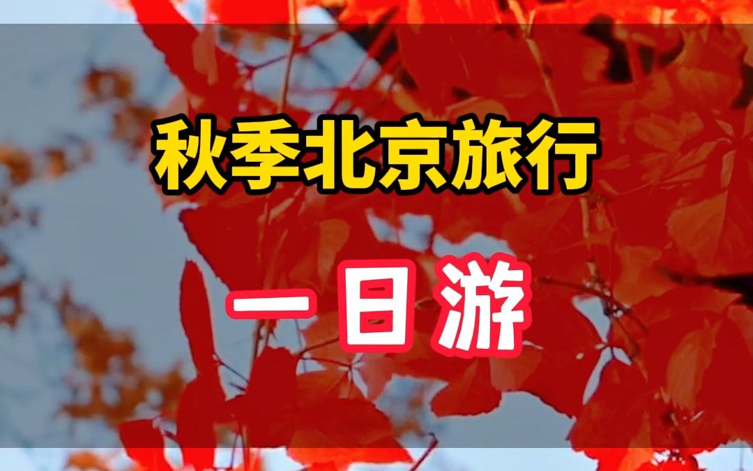 只有一天时间,如何高效玩转北京城?这份北京一日游搭配线路记得点收藏!哔哩哔哩bilibili