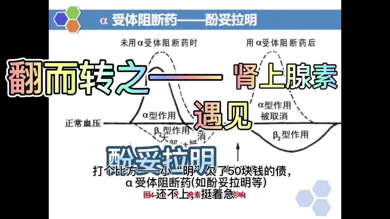 酚苄明的功效(酚苄明:缓解疼痛,消炎杀菌,祛痘护肤)