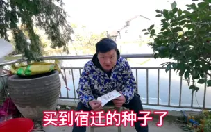 Download Video: 宿迁的牧草种子，农村小伙能种出来吗？这将成为口粮！