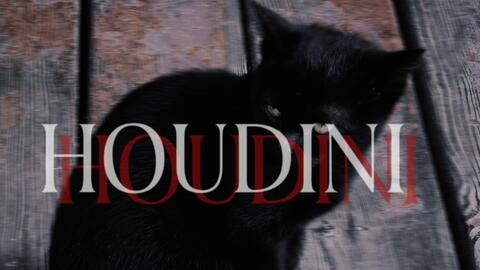 动态歌排 Houdini 疯批向 被镣铐束缚我早已痴狂至极 哔哩哔哩