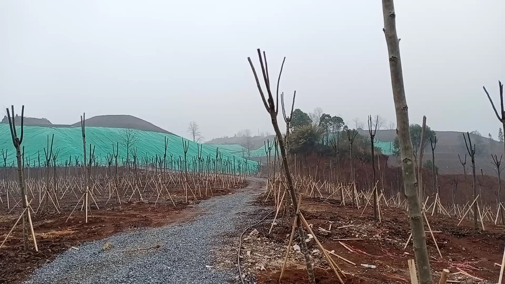 [图]美丽的户外山村风景图。