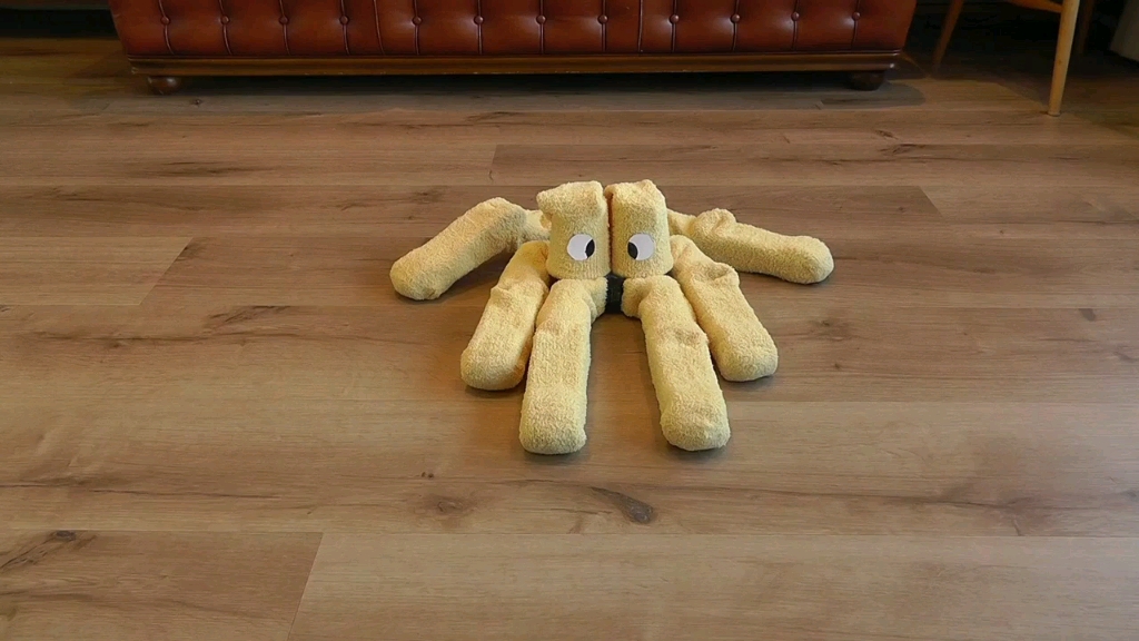 毛茸茸的六足动物