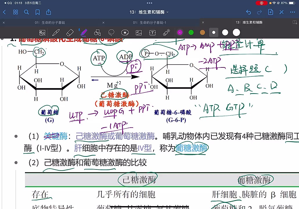 六碳糖结构图图片