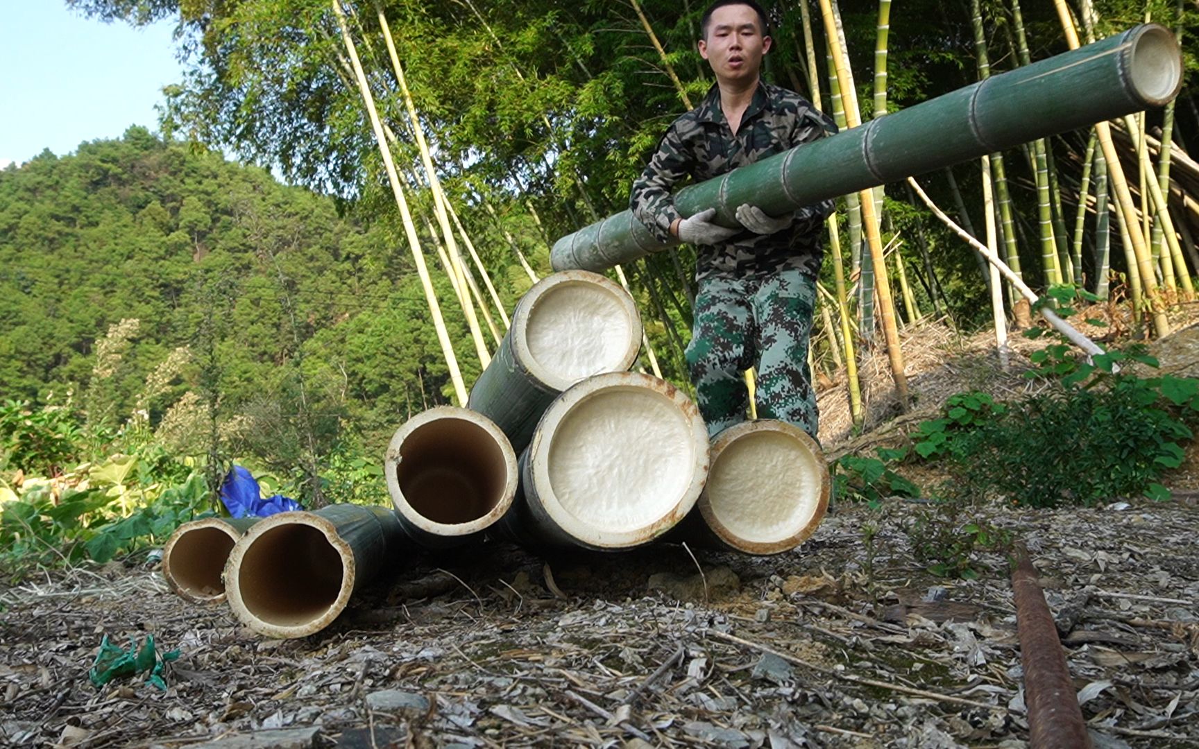 小兩口上山砍竹子搭竹棚這楠竹比大腿還粗忙活半天總算抗回家