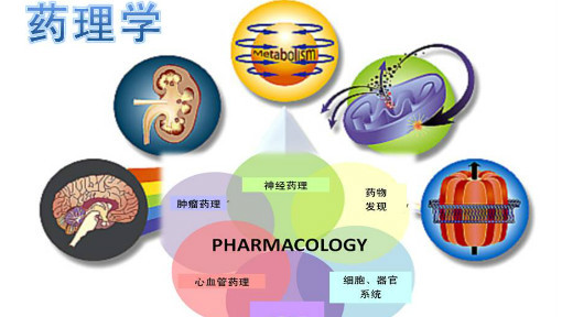 药理学  华中科技大学(国家级精品课)哔哩哔哩bilibili