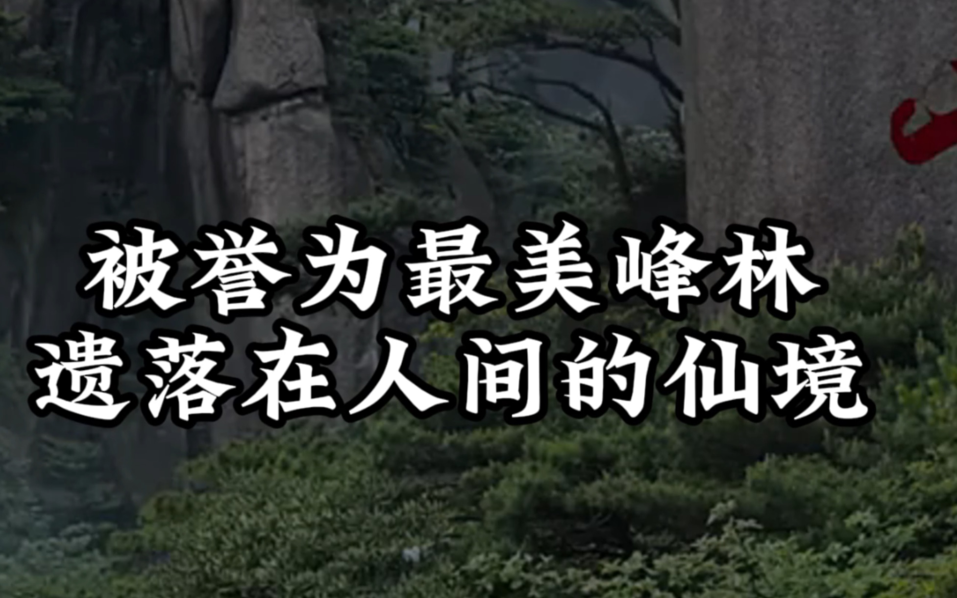 中国最美的三清山被誉为最美峰林#三清山 #带你去旅行 #旅行推荐官哔哩哔哩bilibili