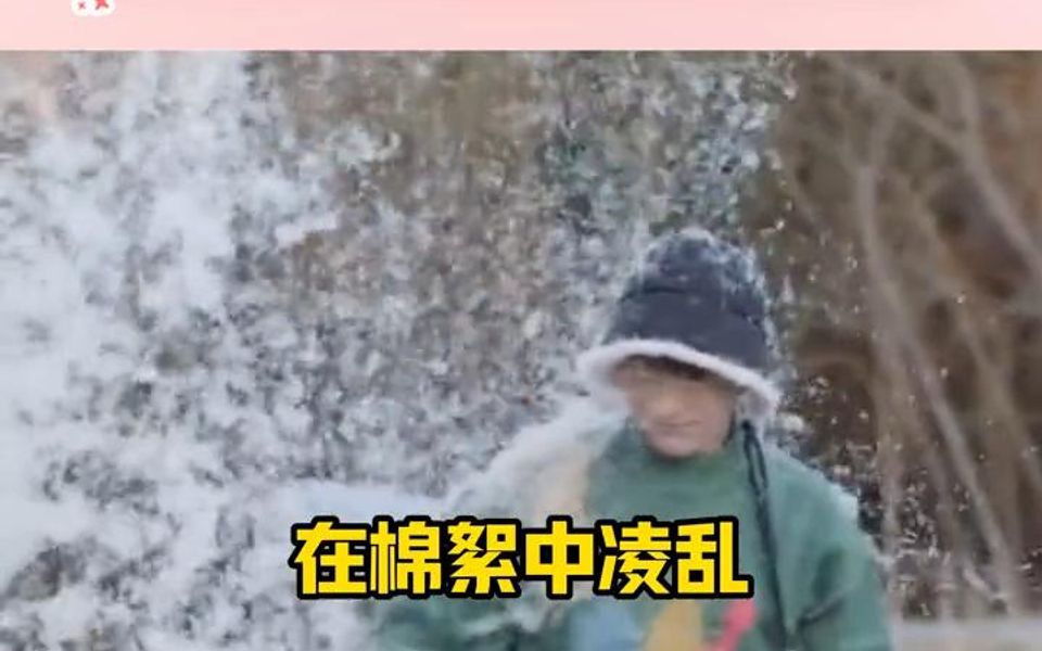 这就是传说中的“乱花渐欲迷人眼”吗哔哩哔哩bilibili