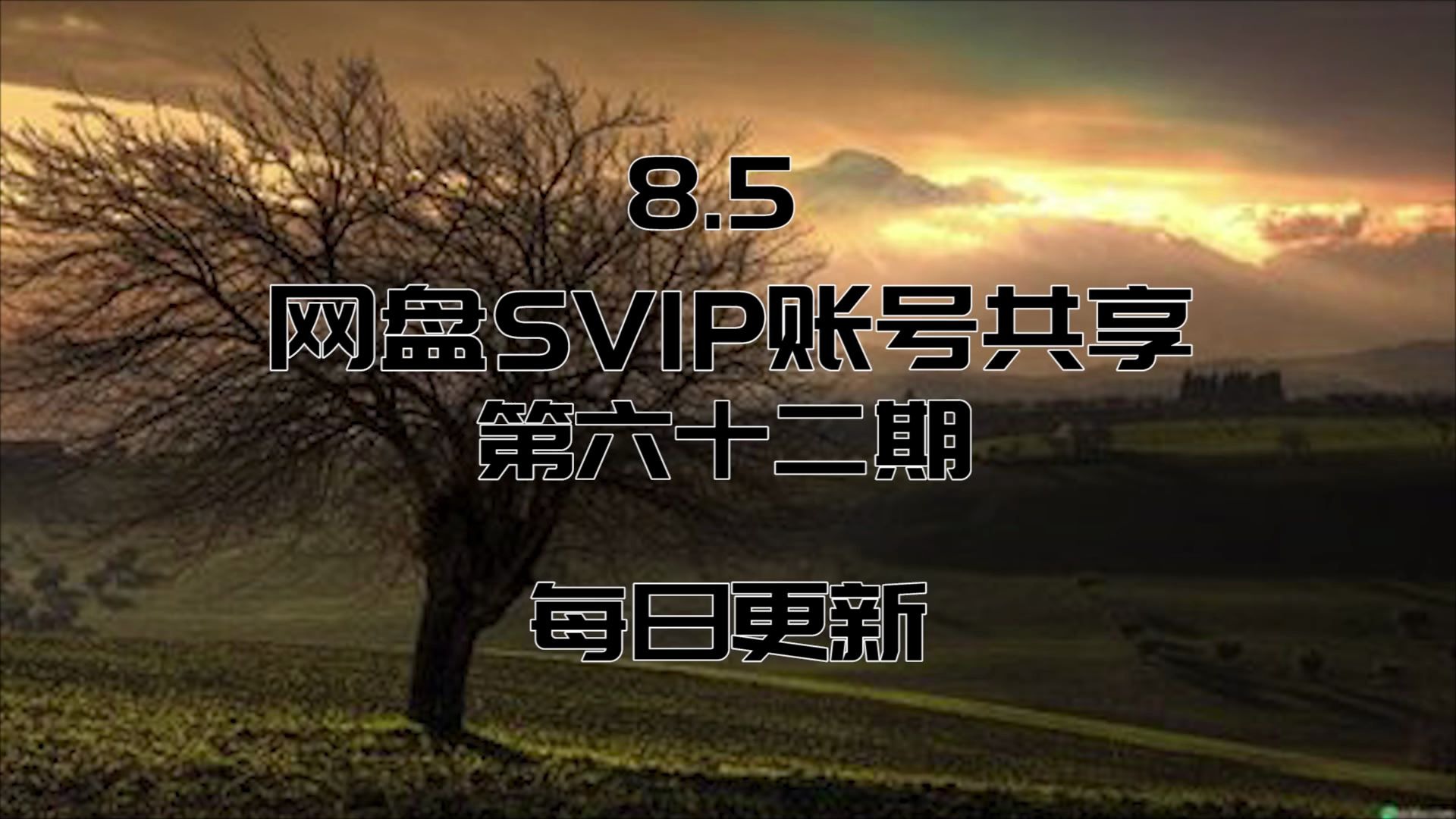 8.5【SVIP】网盘SVIP账号共享 每日更新哔哩哔哩bilibili