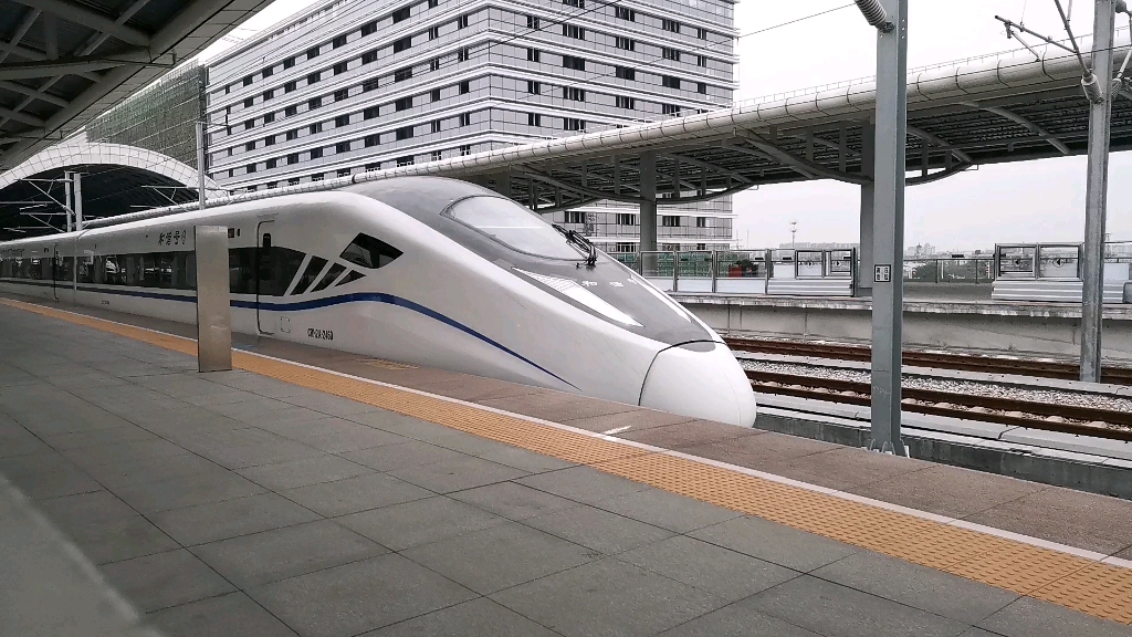 crh2a-2460先进黑脸在佛山西出站