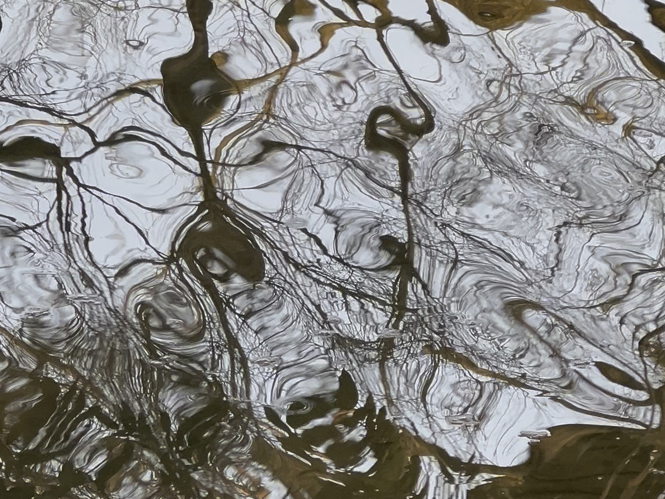 倒影-杭州水面竖屏-灵动的书法素材