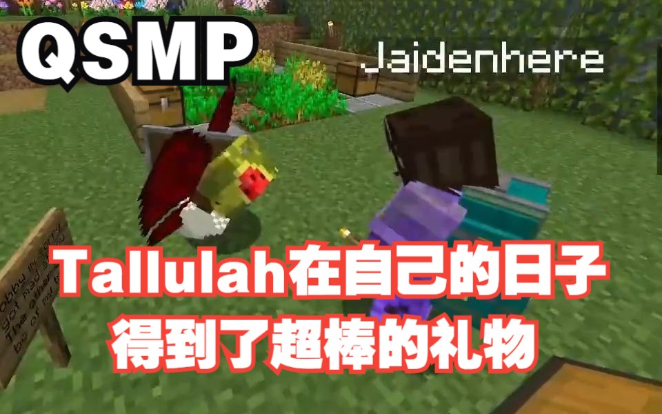 【MCYT/中文字幕】Tallulah在自己的日子得到了超棒的礼物单机游戏热门视频