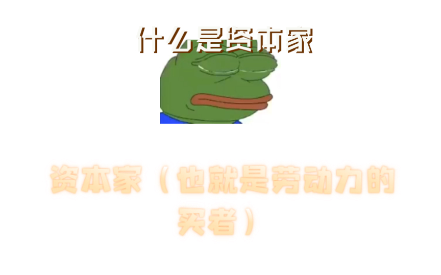 什么是资本家哔哩哔哩bilibili