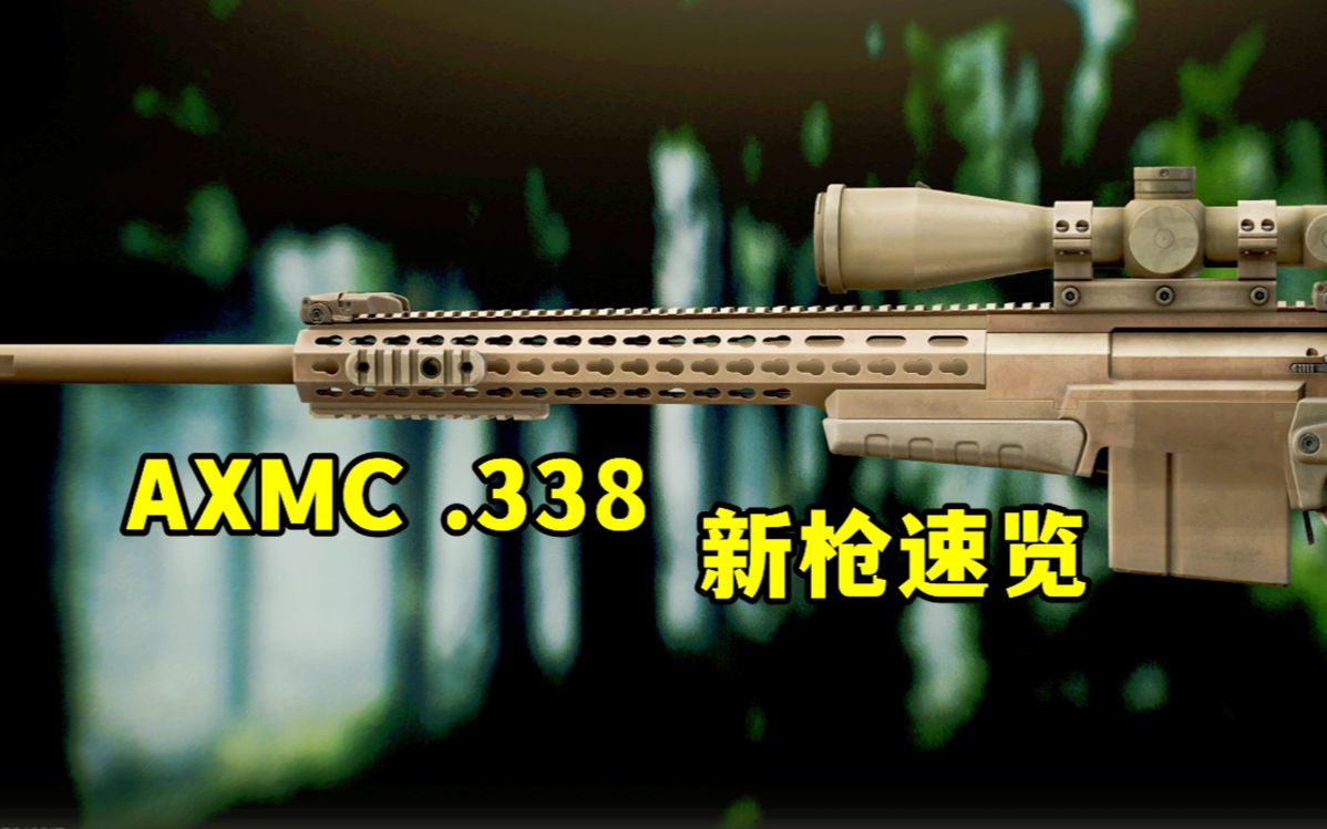 AXMC.338栓狙新枪速览 这把枪听起来可太猛了【逃离塔科夫】逃离塔科夫演示