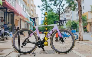 Télécharger la video: seka标准版丁香紫搭配7170电变大套，mt800碟片，gub陶瓷中轴，gub 3d打印坐垫，blast wave#公路车 #seka #让骑行成为一种生活