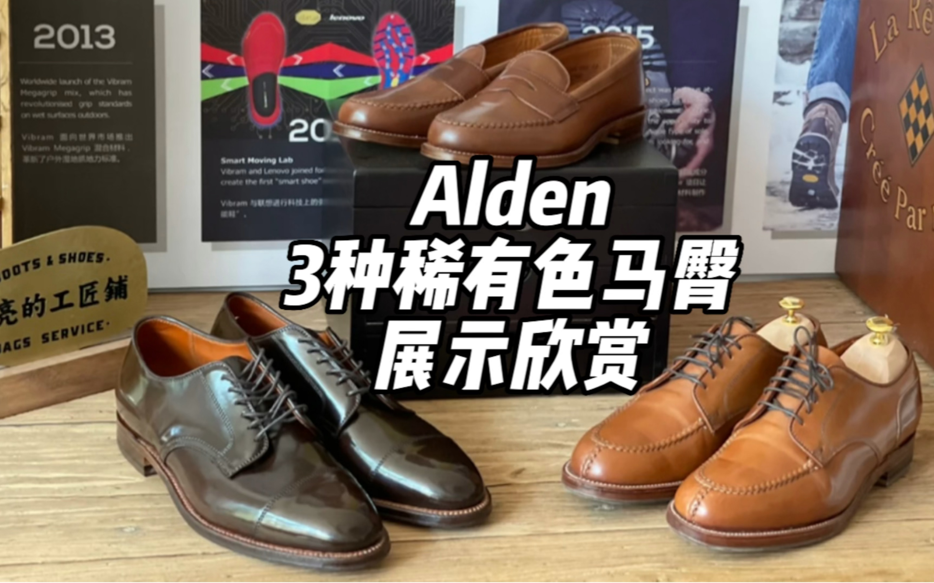 Alden 3种稀有色马臀展示欣赏哔哩哔哩bilibili