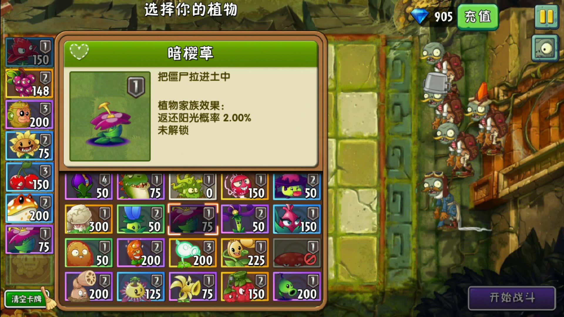 植物大战僵尸2:好不容易抽到一株暗樱草,发现这货和窝瓜没区别