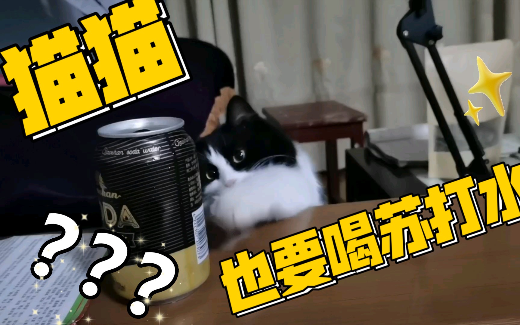 猫猫也想喝苏打水哔哩哔哩bilibili