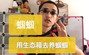 Download Video: 养蝈蝈想给他创造更自然的环境，生态箱饲养蝈蝈值得注意的几个点