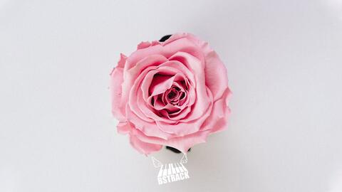 Free New Wave Future Bass Type Beat Senpai Loop By M0rriss Ig V Ennny 哔哩哔哩 Bilibili