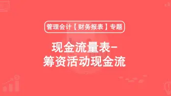 第18期：现金流量表-筹资活动现金流