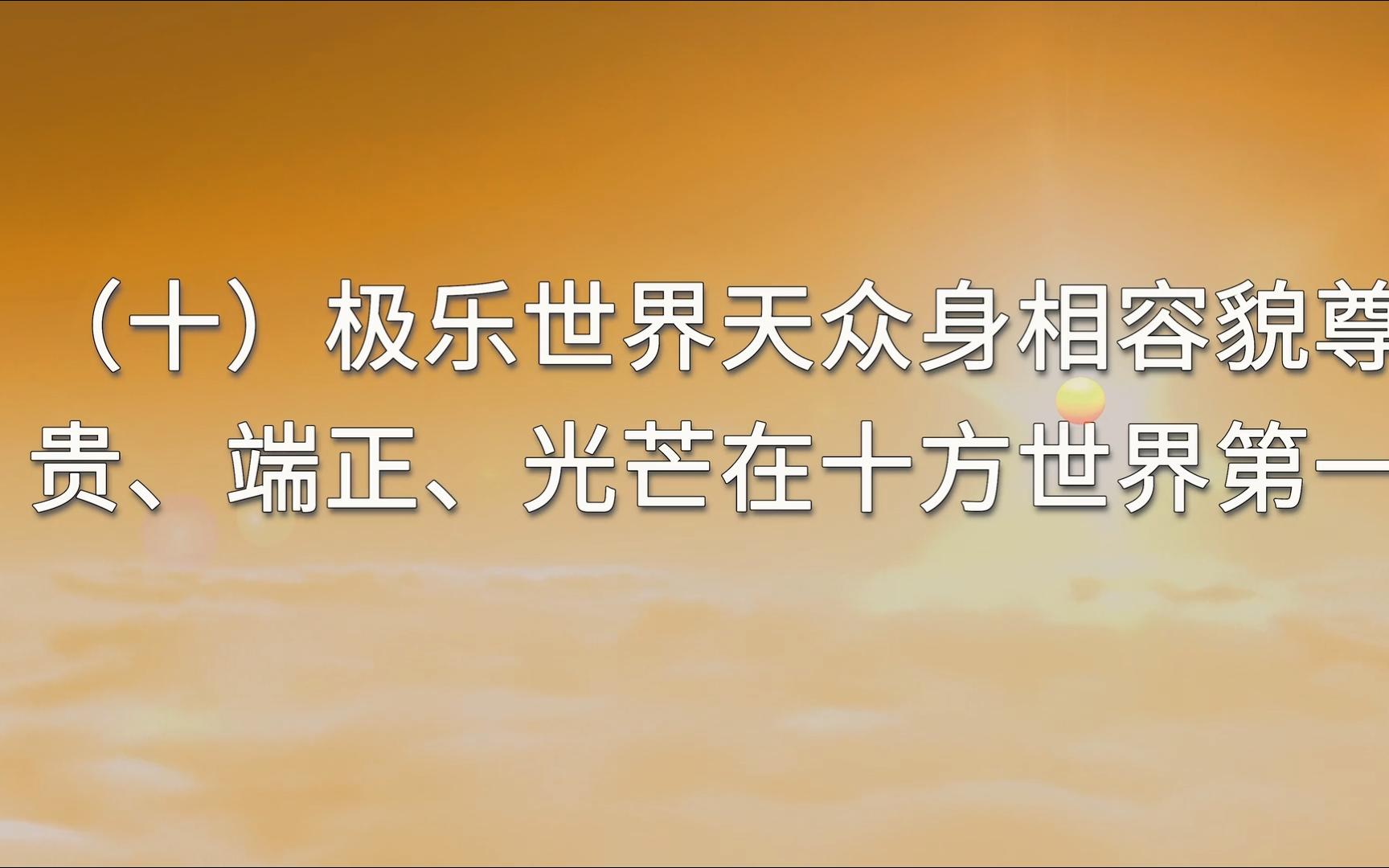 佛说无量寿经讲义 第七集(十)极乐世界天众身相容貌尊贵、端正、光芒在十方世界第一哔哩哔哩bilibili