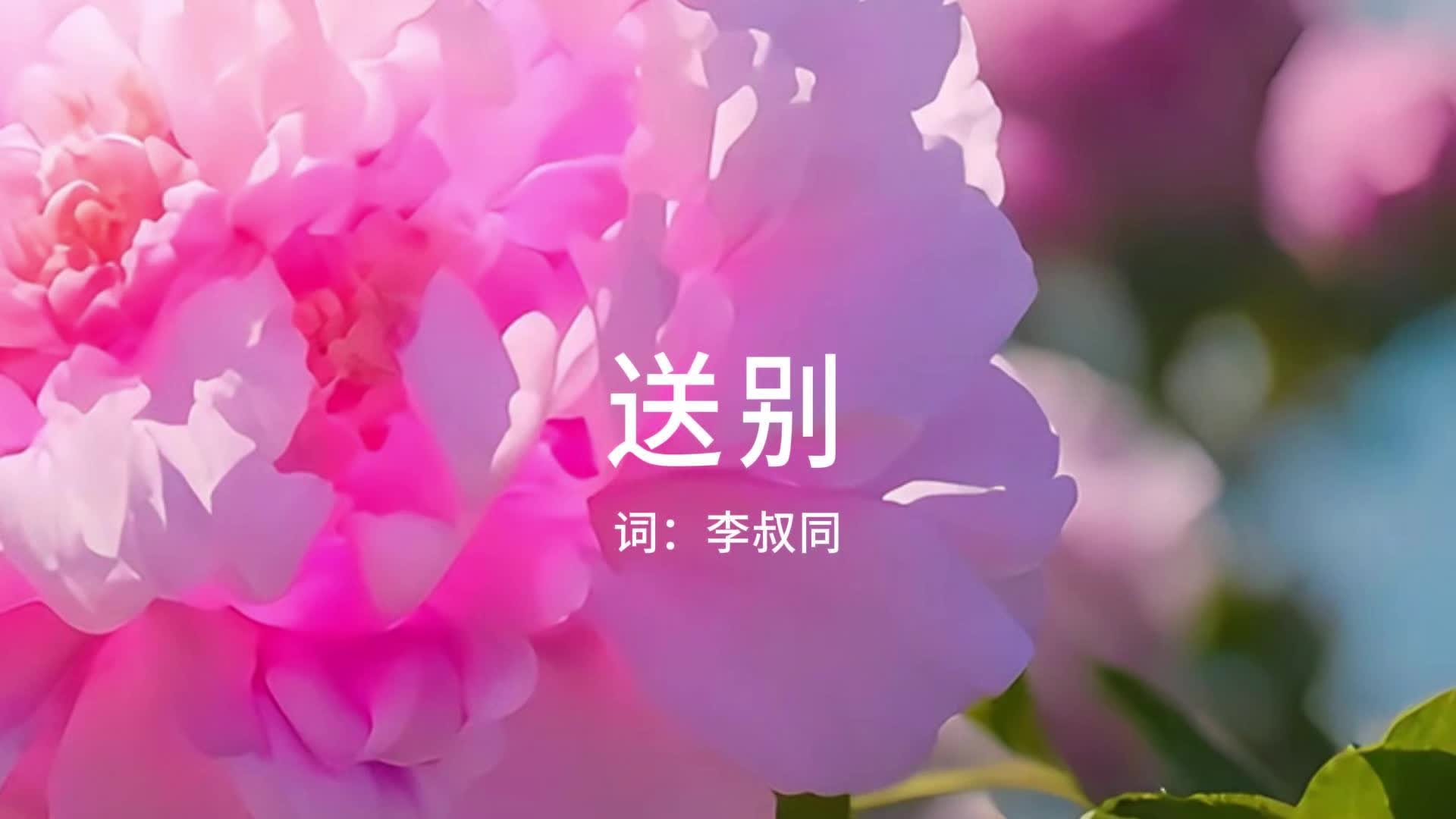 《送别》双排键电子琴纯音乐