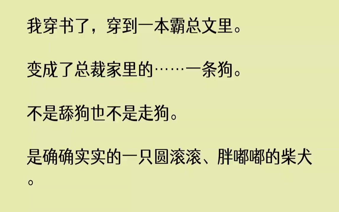 [图]【完结文】我穿书了，穿到一本霸总文里。变成了总裁家里的……一条狗。不是舔狗也不是走狗。是确确实实的一只圆滚滚、胖嘟嘟的柴犬。我一...