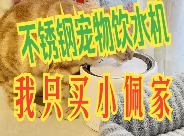 猫屎咖啡的猫是什么猫_鼠猫——似猫非猫_多猫