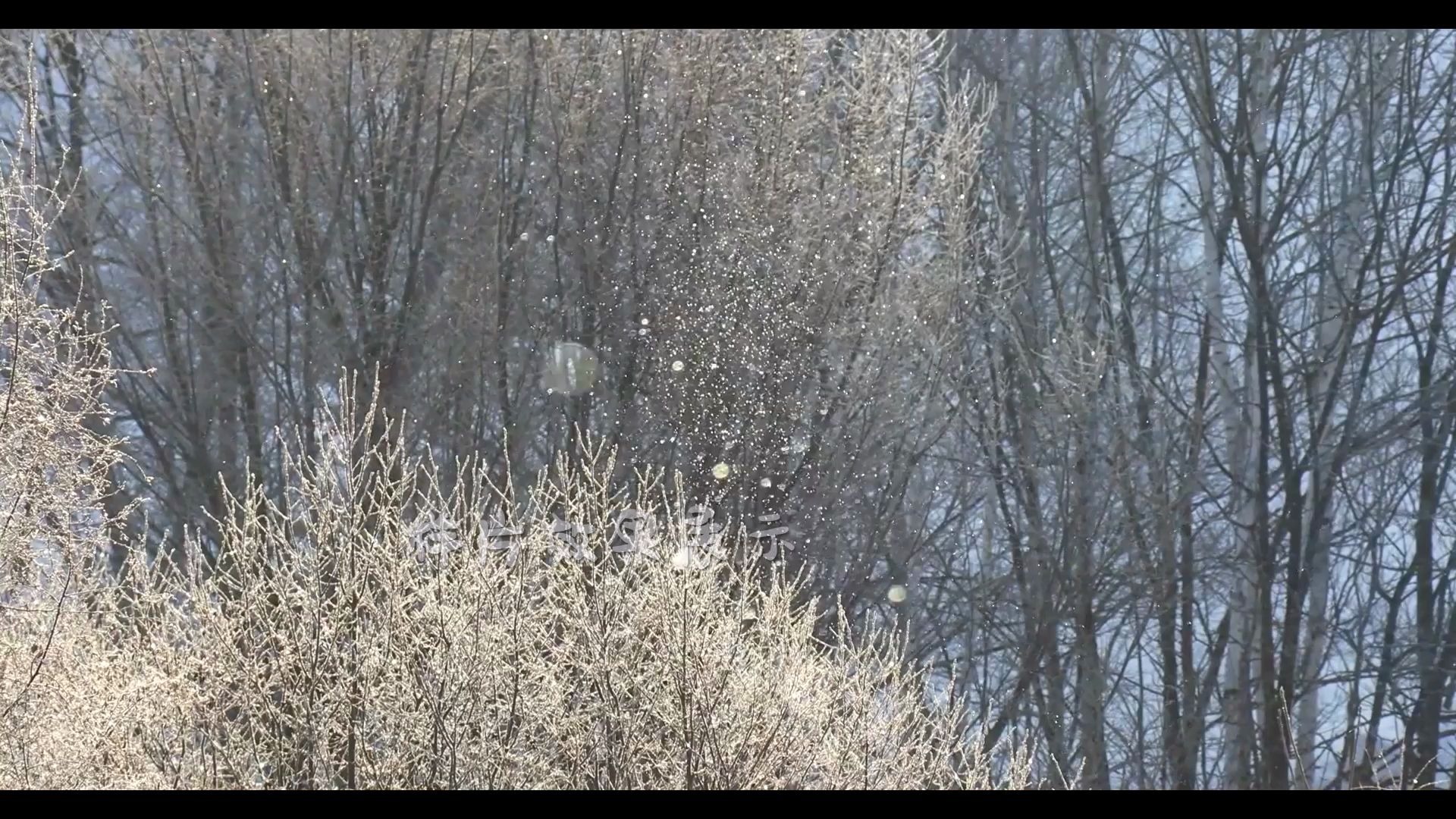 d520 2k画质超唯美冬天雪景下雪雪花飘落雪山雪峰北国风光元旦圣诞节晚会舞台大自然景色视频素材哔哩哔哩bilibili