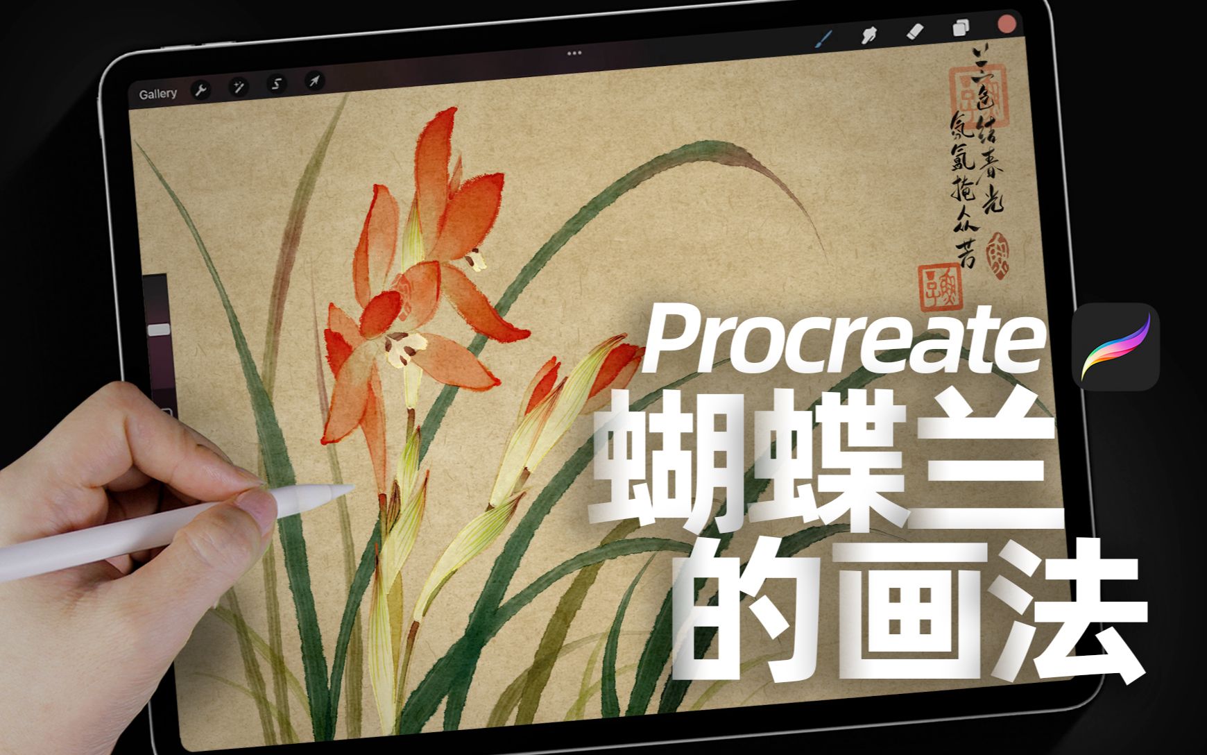 ipad沉浸式绘画丨3分钟画蝴蝶兰丨详详细教程评论区置顶有链接 Procreate教程哔哩哔哩bilibili
