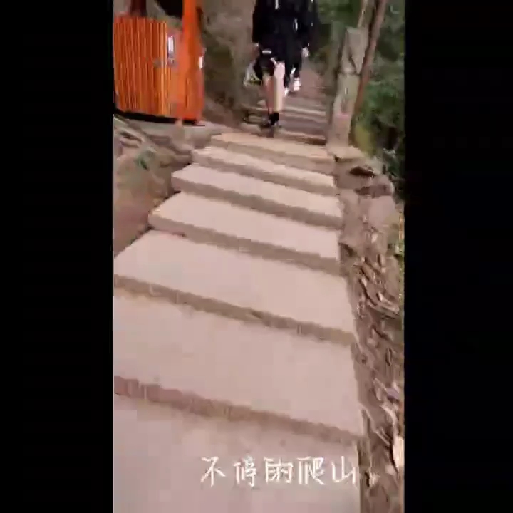 青城山(前山)爬山小建议哔哩哔哩bilibili