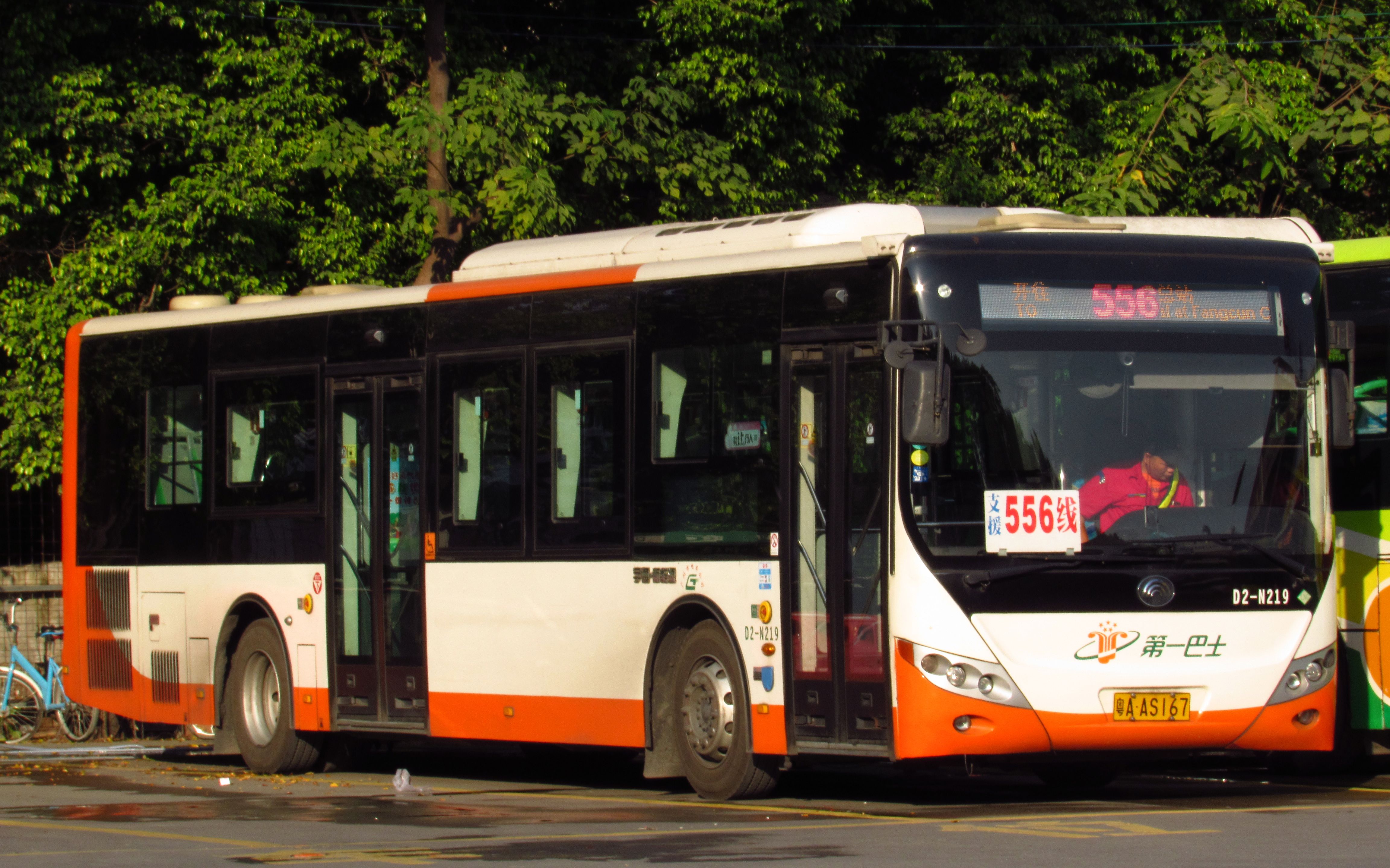 605路公交车图片
