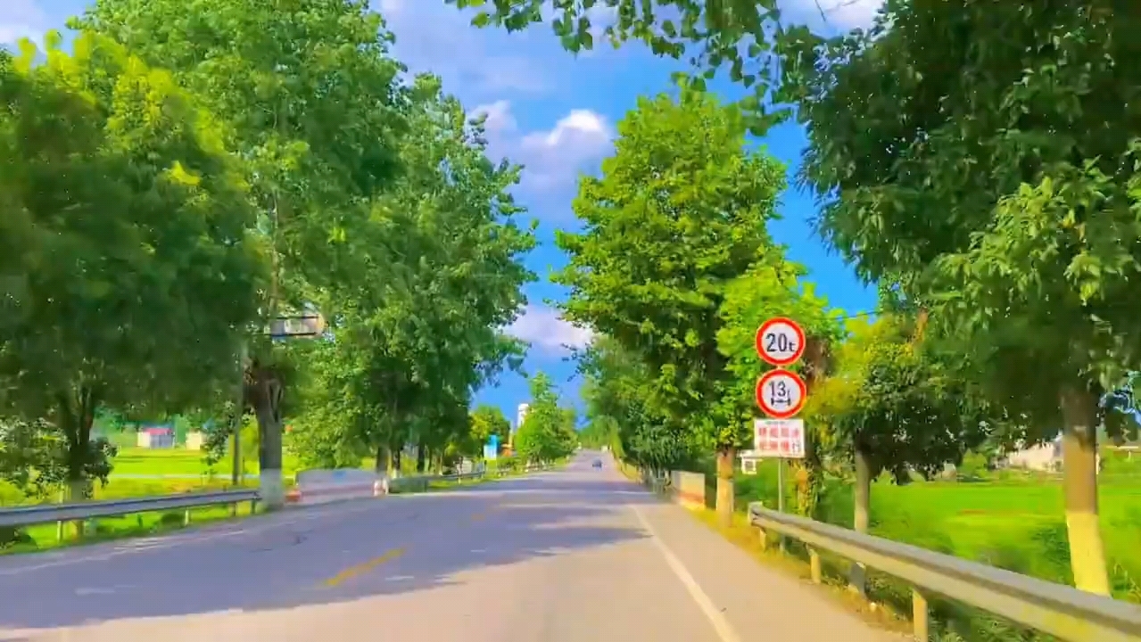 夏日的树梢散发着温柔的光,悄悄路过的风儿吹散了一地的斑驳