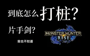 Download Video: 【MHR】片手剑打桩到底该怎么打？