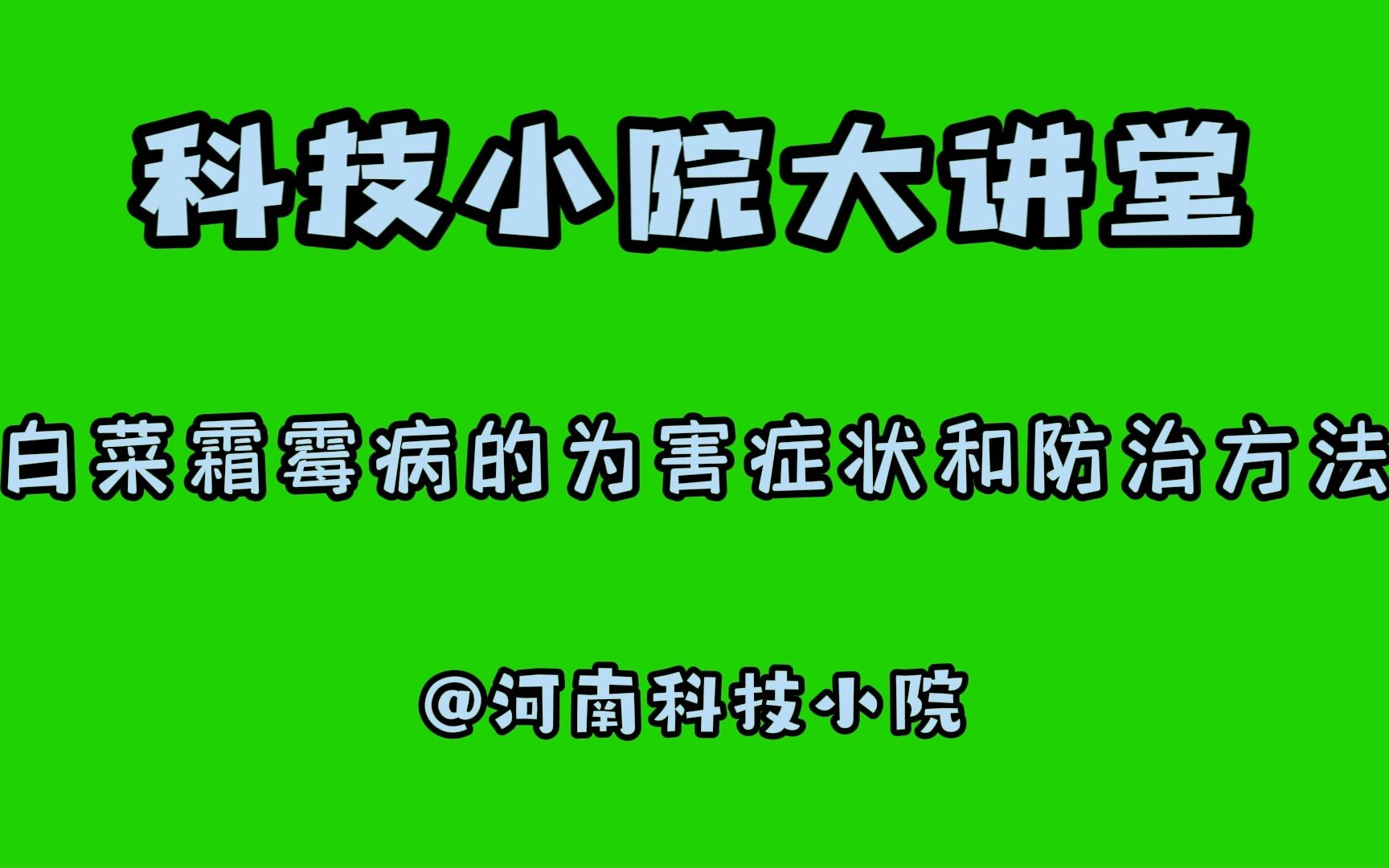 【科技小院大讲堂】白菜霜霉病的危害和防治方法哔哩哔哩bilibili