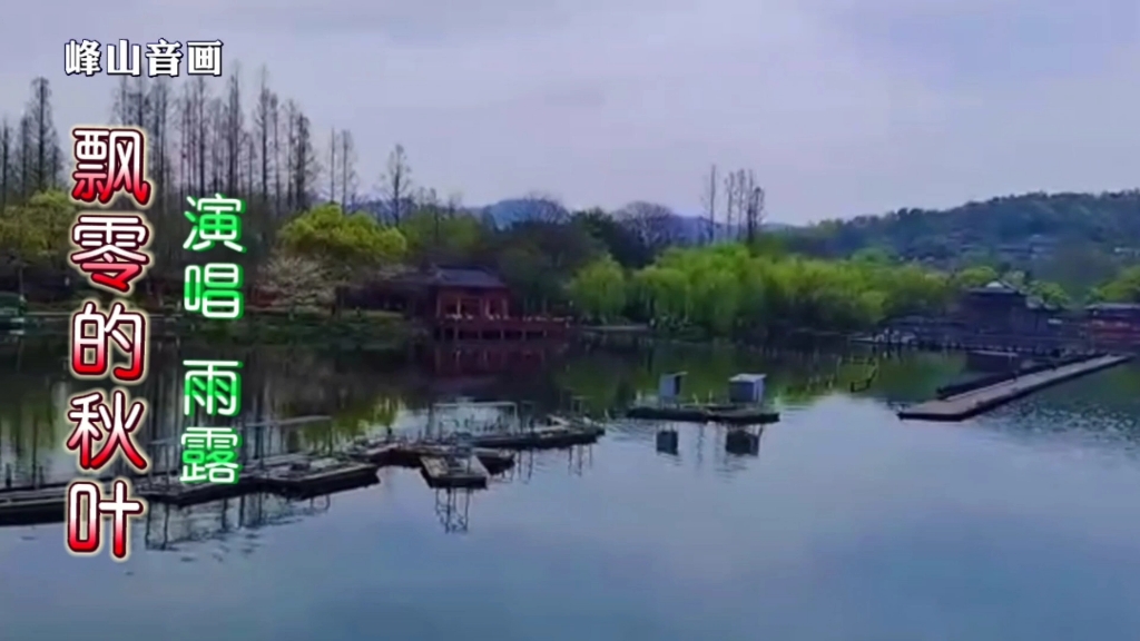 [图]《飘零的秋叶》雨露一首伤感情歌，超级好听。