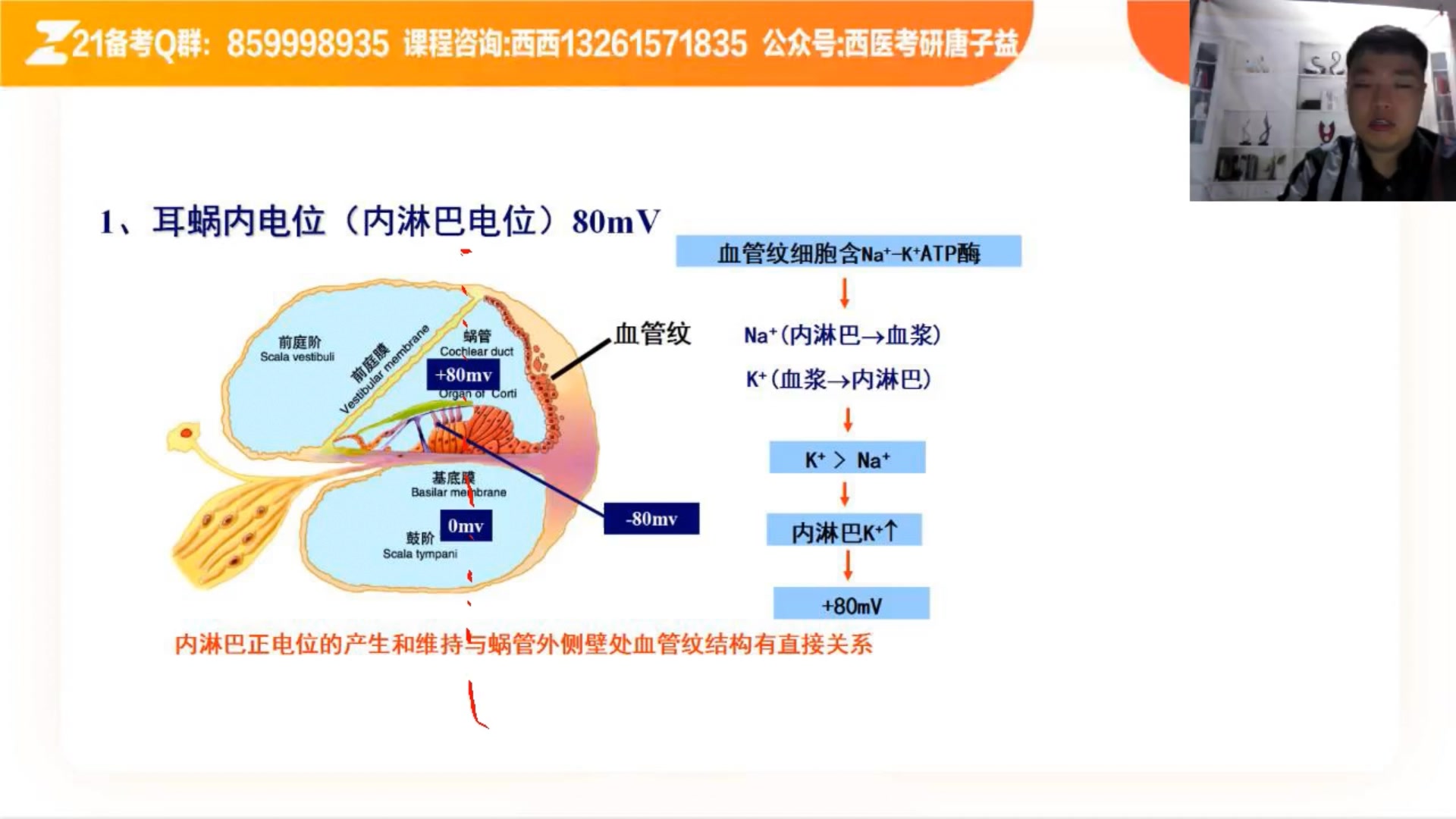 生理总结哔哩哔哩bilibili