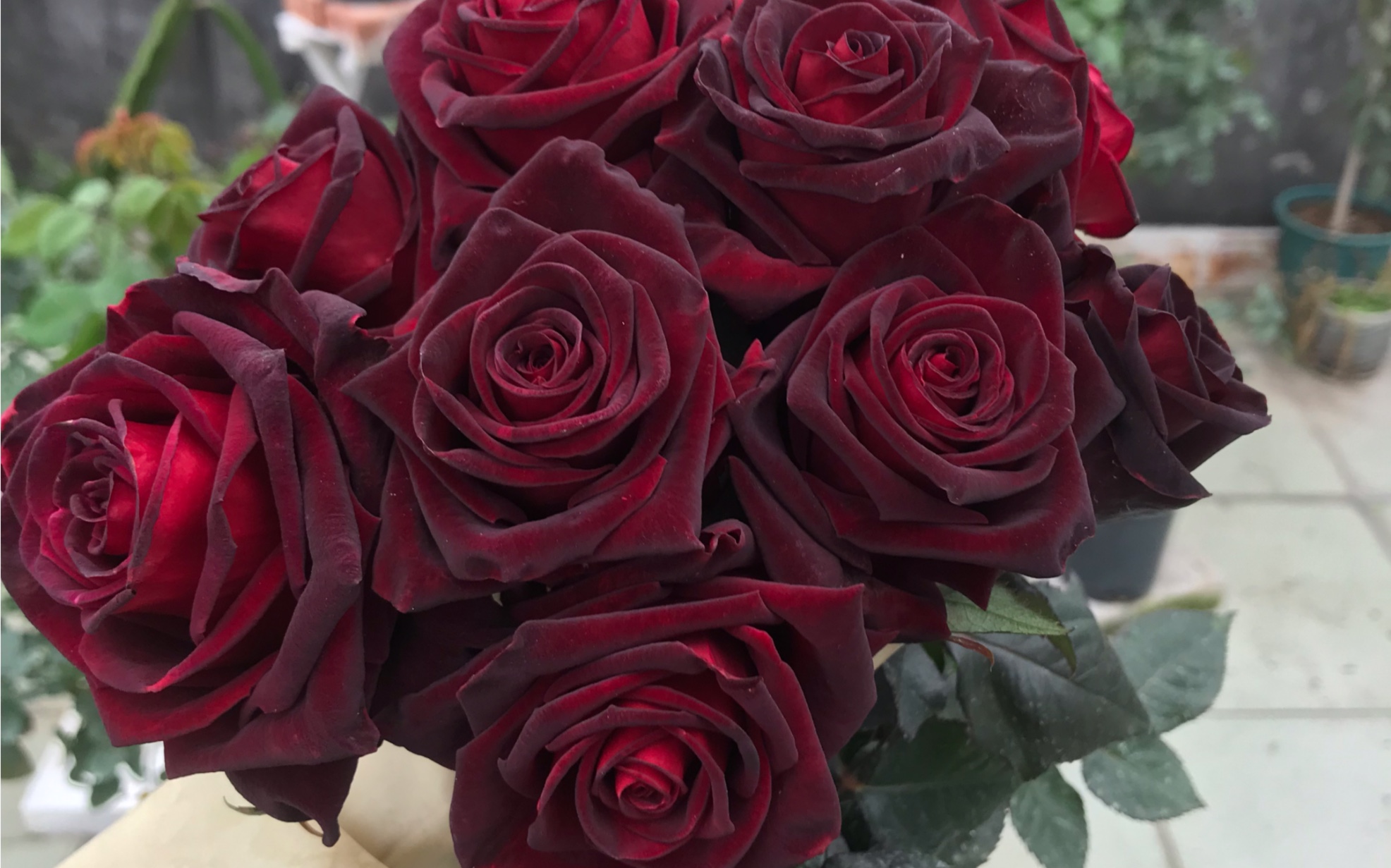 广东冬天的黑巴克~阴雨天的美