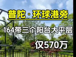 Descargar video: 普陀环球港旁带三阳台类住宅大平层，精装现房，仅570万。