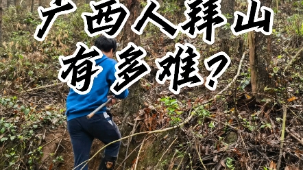 [图]广西人清明拜山有多难？