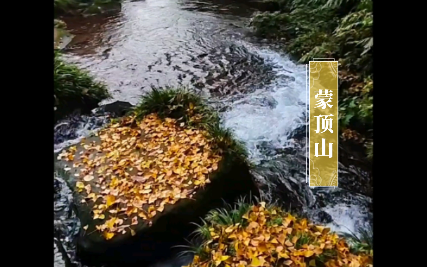 【个山.日行茶山】蒙顶山有很多面 最美的蒙山 不止天盖寺 不只那十二棵银杏哔哩哔哩bilibili