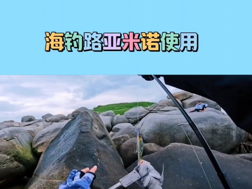 海钓知识哔哩哔哩bilibili