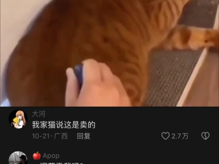 我家猫说这是卖的哔哩哔哩bilibili