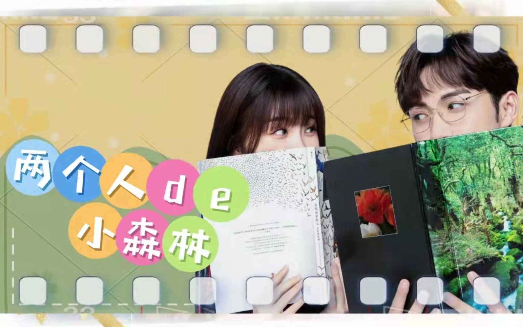 花鸟CUT(二十三)哔哩哔哩bilibili