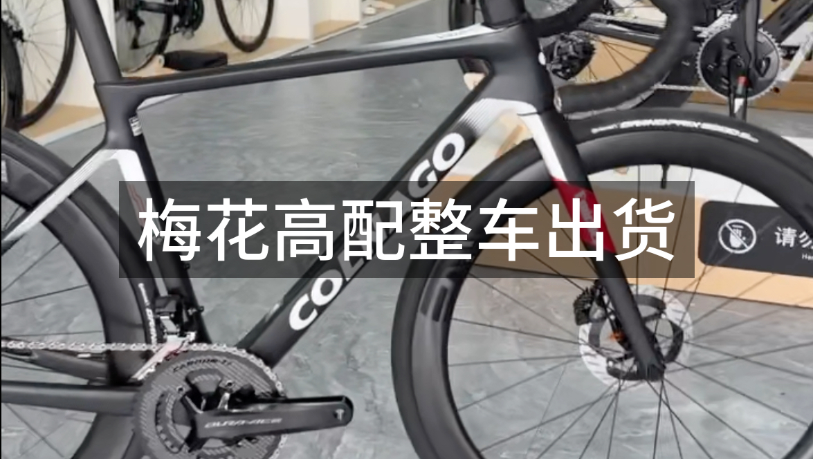 Colnago V4rs Uae队版涂装 梅花顶级车架 波加查同款哔哩哔哩bilibili