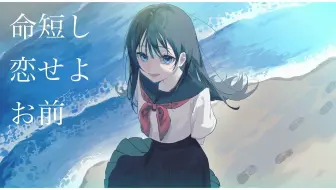 【中日字幕/はるな。】人生苦短恋爱吧小子/命短し恋せよお前 - feat. 重音テト