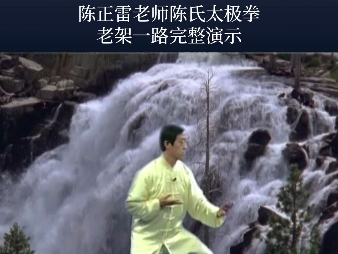 陈正雷太极拳56式图片