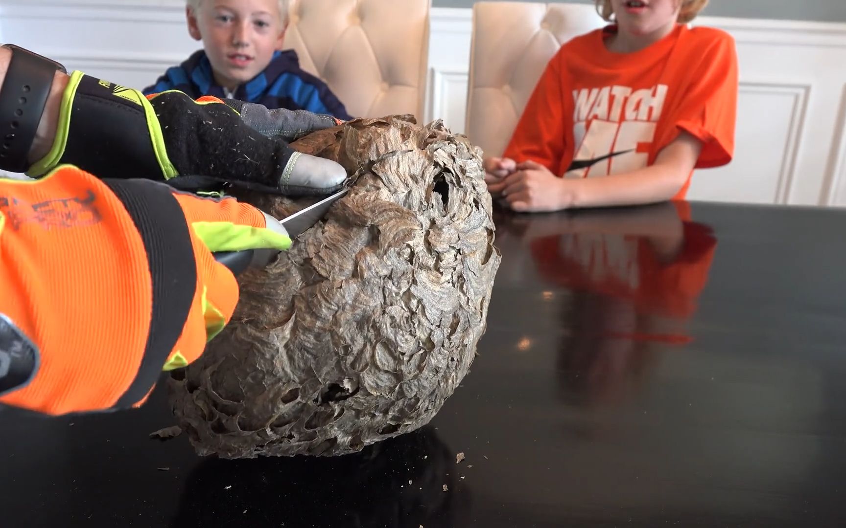 马蜂窝内部长什么样?切开一看,网友:简直是建筑大师